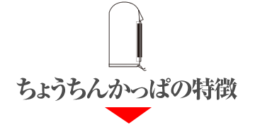 提灯カバー「ちょうちんかっぱ」の特徴